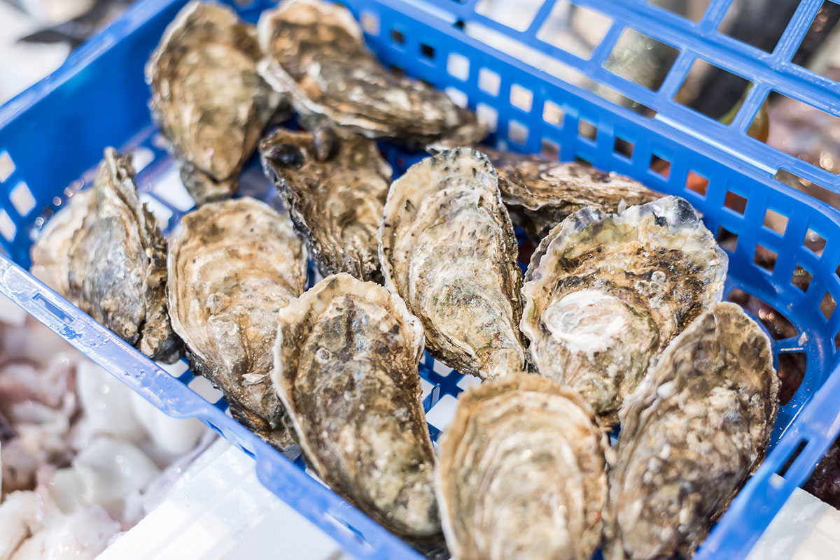 Ostriche la rotonda pescheria nerozzi pistoia