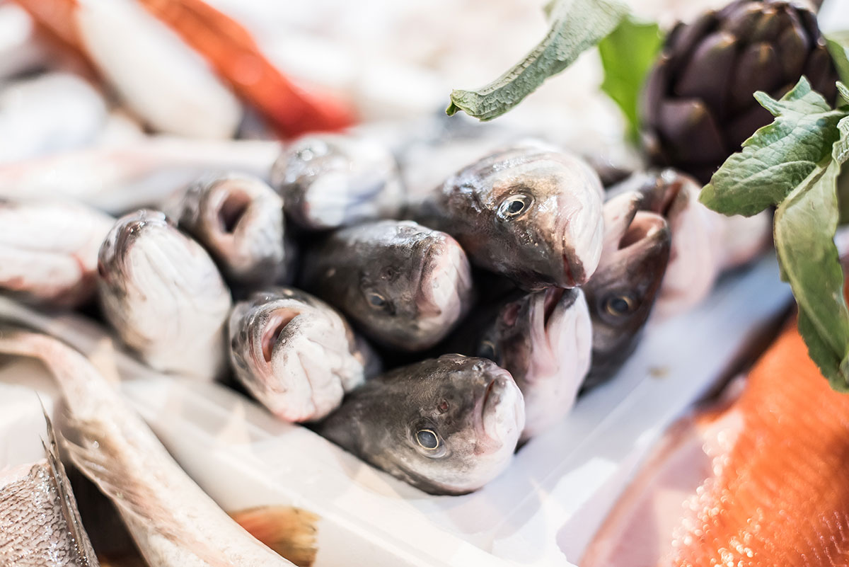 branzino la rotonda pescheria nerozzi pistoia