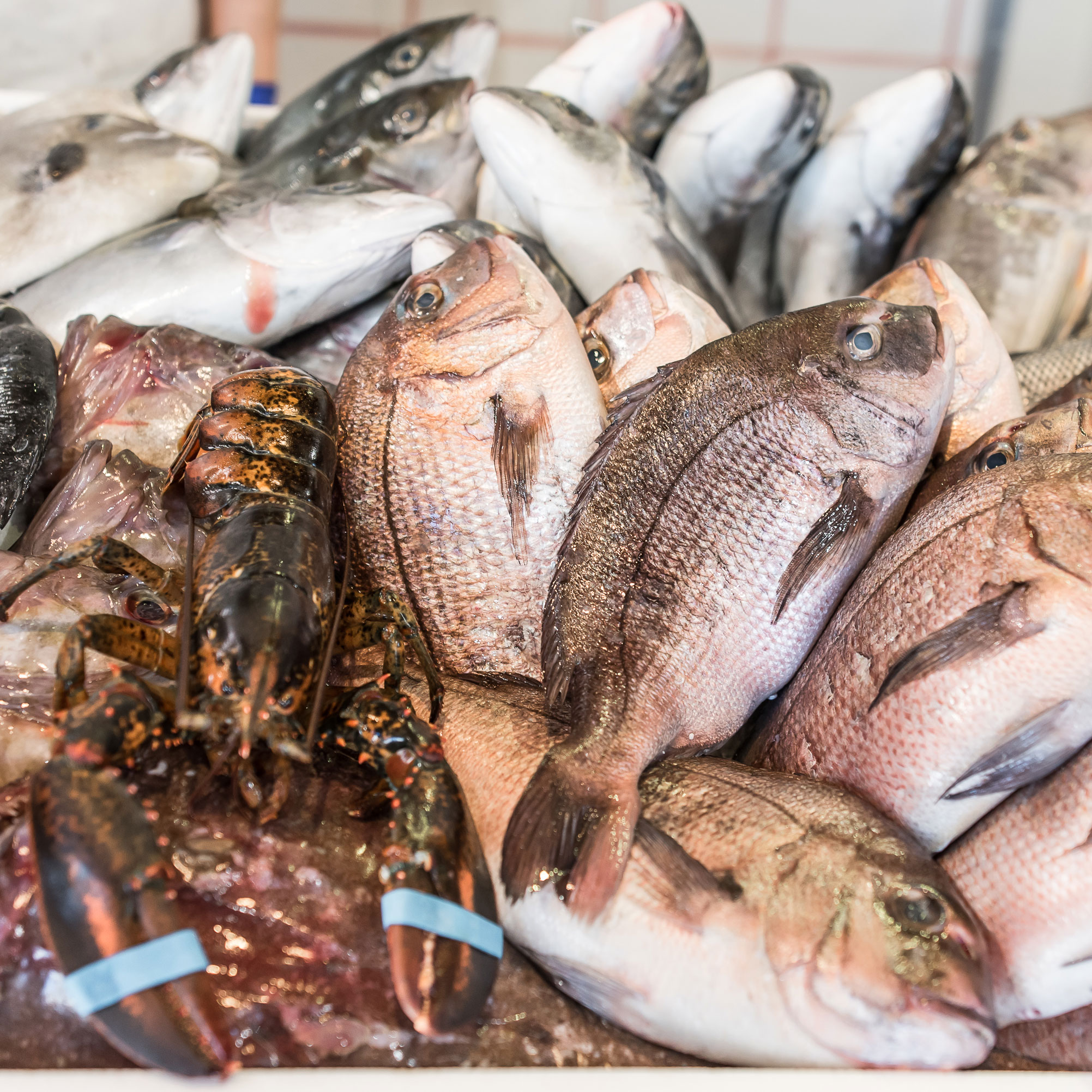 Qualità pescheria nerozzi Pistoia